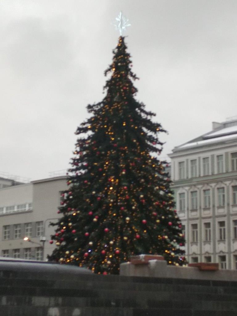Новогодние украшения Москвы: елки и не только  - фото 1