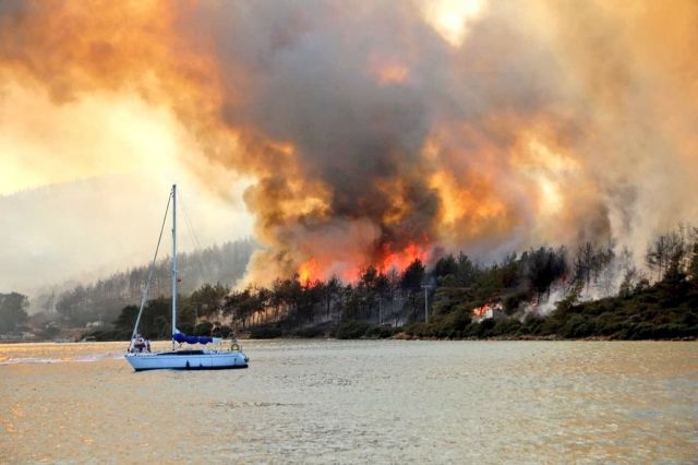 Лесные пожары в Турции потребовали международного вмешательства - фото 11