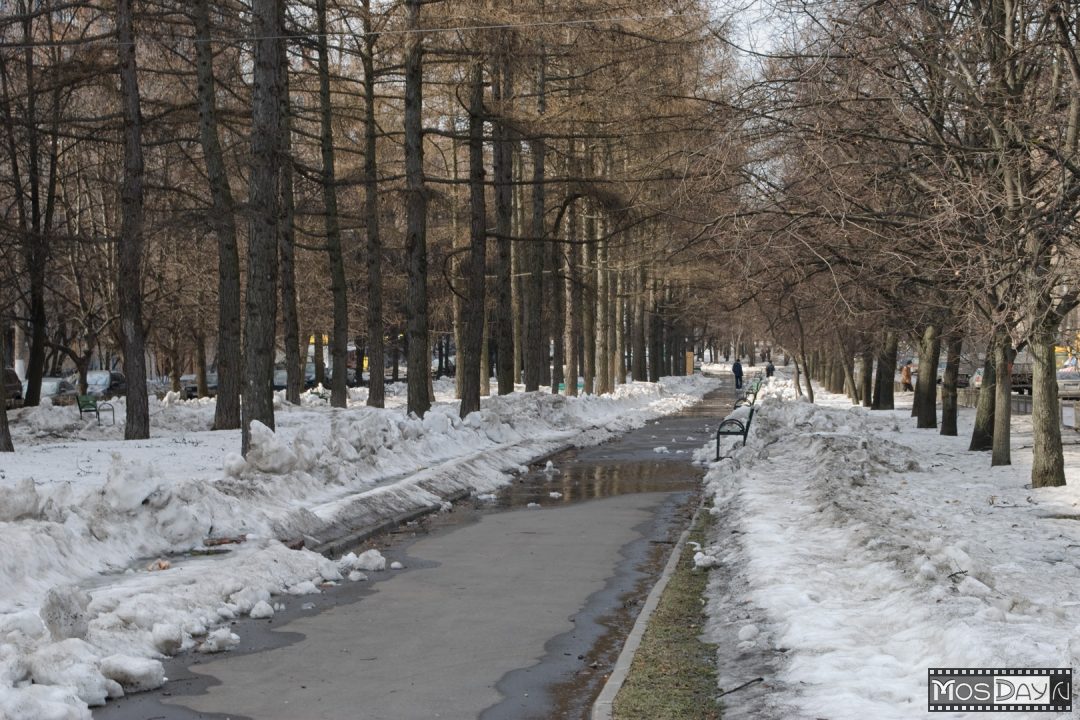 Уровень загрязнения воздуха в Москве на 14 часов 19 февраля 2020 г. - фото 1
