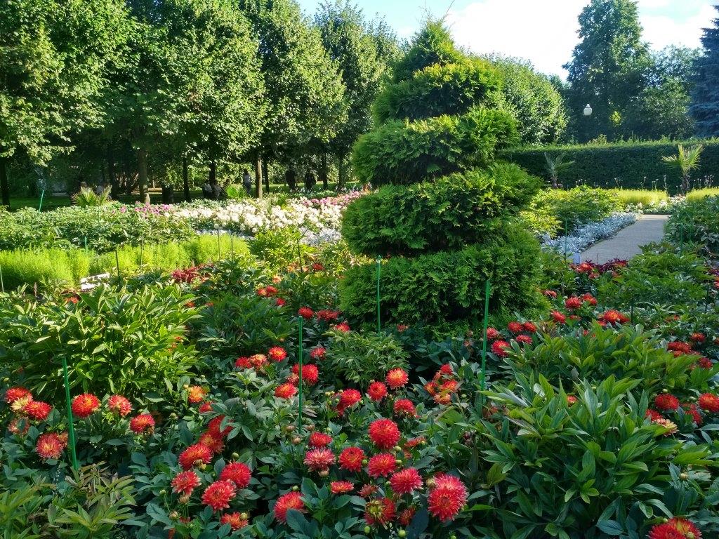 Розы и фонтаны в парке Горького  - фото 7