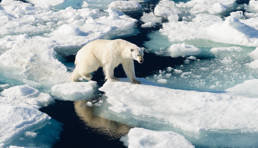 Арктический лед стремительно тает - фото 1
