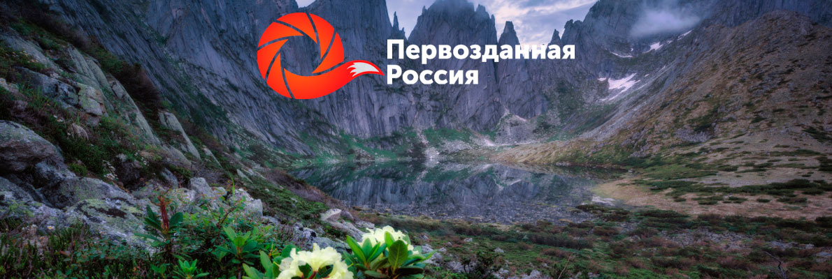 23 марта на фестивале «Первозданная Россия» будет представлена история заповедной системы страны - фото 1