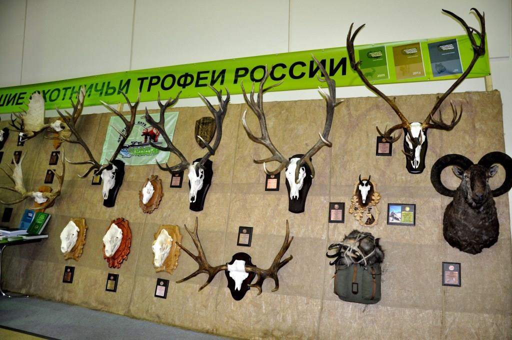 Охота и рыболовство на Руси - фото 1