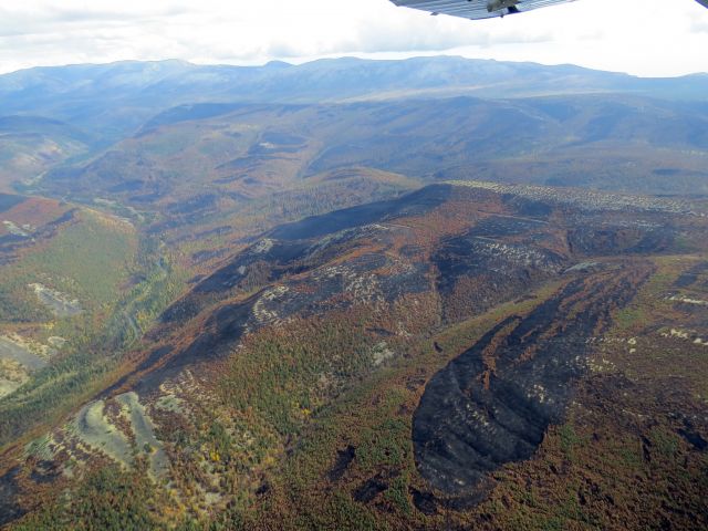 Вспоминаем лесные пожары 2015 года на Байкале  - фото 9