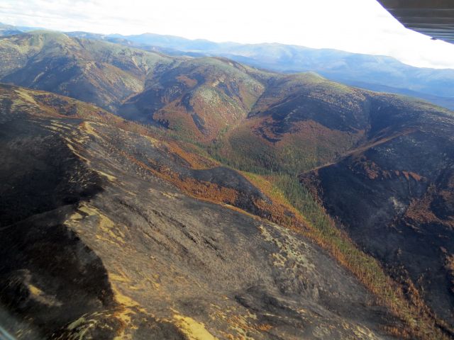 Вспоминаем лесные пожары 2015 года на Байкале  - фото 15