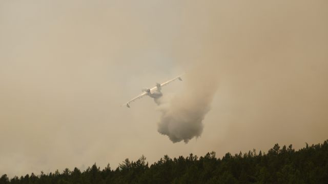 Вспоминаем лесные пожары 2015 года на Байкале  - фото 26