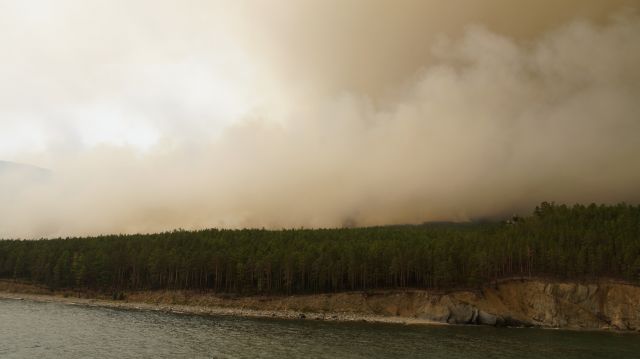 Вспоминаем лесные пожары 2015 года на Байкале  - фото 27