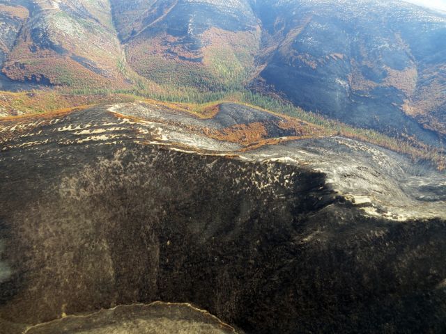 Вспоминаем лесные пожары 2015 года на Байкале  - фото 16