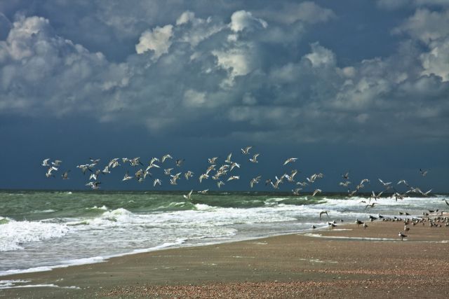 Окно в мир Василий Климова, а там озерные чайки и шторм на Азовском море - фото 2