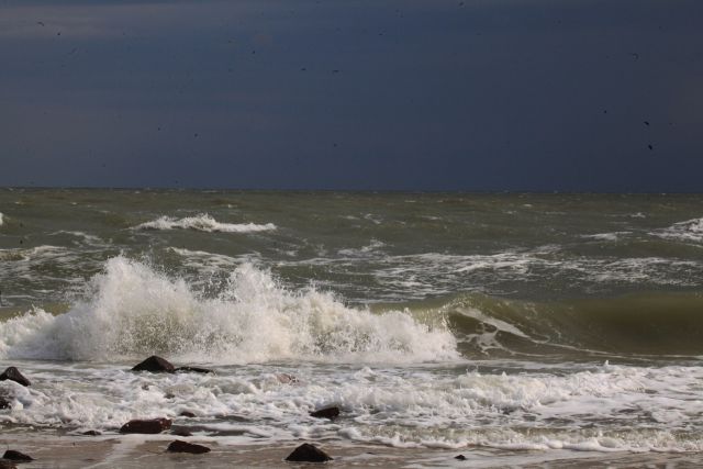 Окно в мир Василий Климова, а там озерные чайки и шторм на Азовском море - фото 3