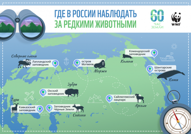 Где любоваться дикими животными в России - фото 2