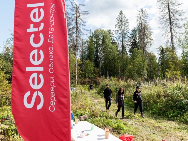 Зеленый Selectel: компания высадила 80 тысяч деревьев за 4 года - фото 2
