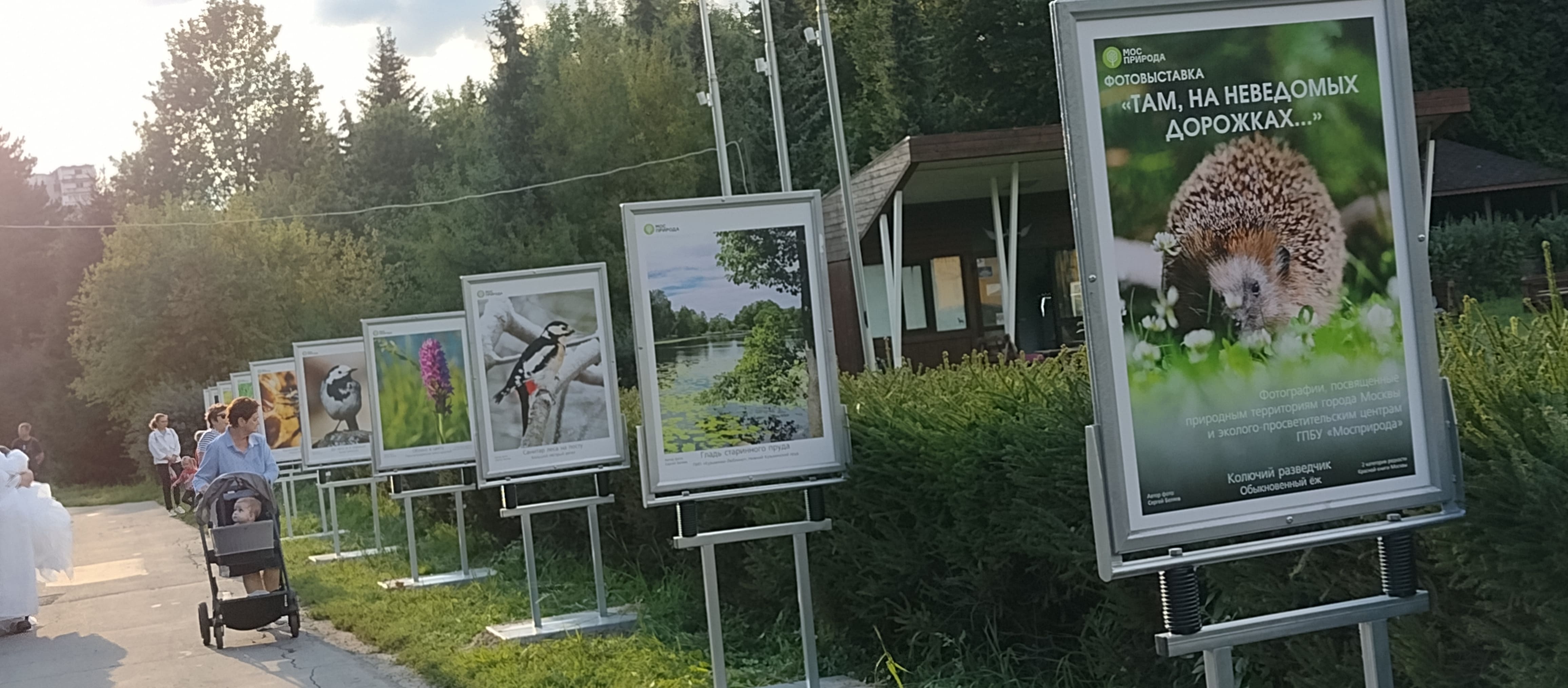 Там, на неведомых дорожках: в Бирюлёвском дендропарке открылась фотовыставка, посвящённая экоцентрам и природе Москвы  - фото 1