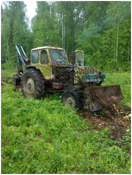 На землях обороны и безопасности Ивановской области пресечено нарушение лесного законодательства - фото 1